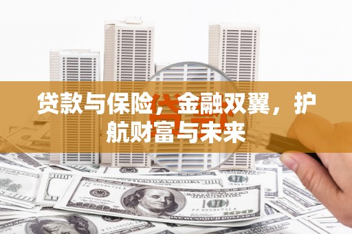 玛沁贷款与保险，金融双翼，护航财富与未来