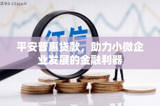 蒲江平安普惠贷款，助力小微企业发展的金融利器