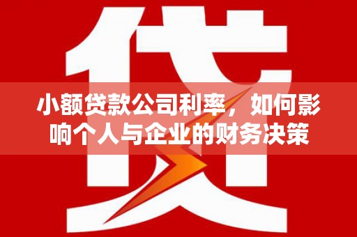 普定小额贷款公司利率，如何影响个人与企业的财务决策