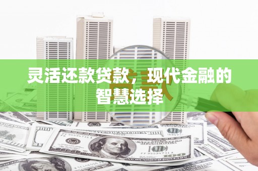滨州灵活还款贷款，现代金融的智慧选择