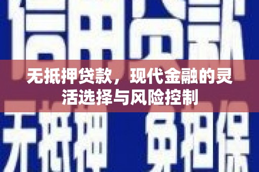 民丰无抵押贷款，现代金融的灵活选择与风险控制