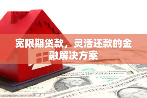 海晏宽限期贷款，灵活还款的金融解决方案