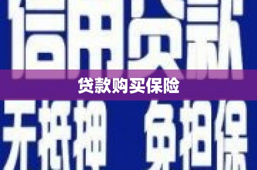 邓州贷款购买保险