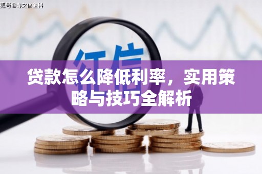 宁陵贷款怎么降低利率，实用策略与技巧全解析
