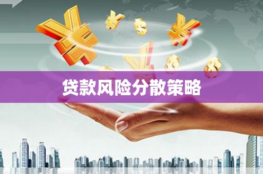 木兰贷款风险分散策略
