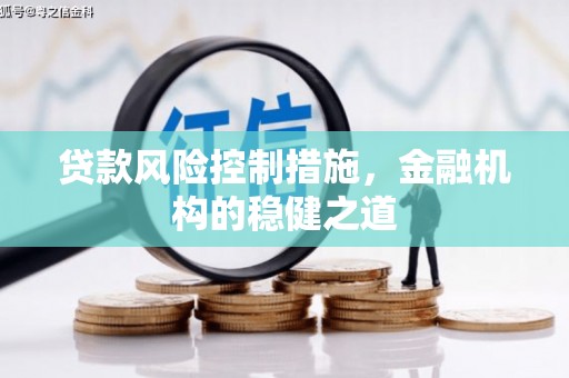 馆陶贷款风险控制措施，金融机构的稳健之道
