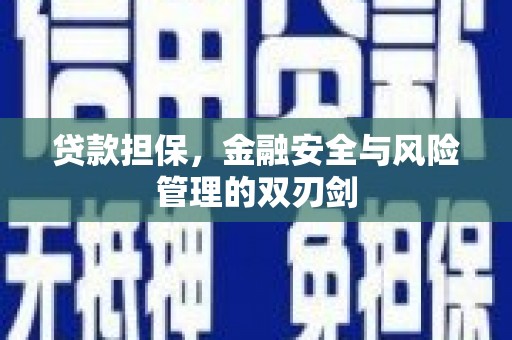 高陵贷款担保，金融安全与风险管理的双刃剑