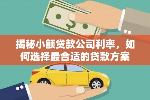 陕西揭秘小额贷款公司利率，如何选择最合适的贷款方案