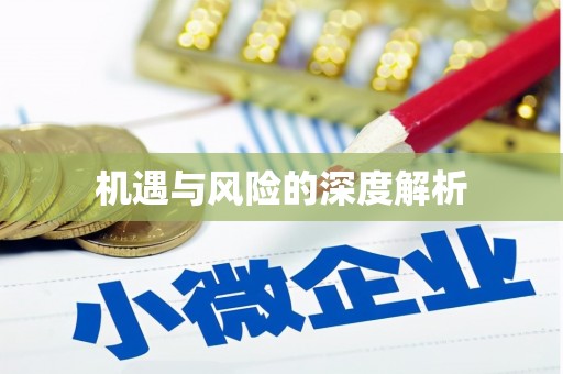 隆安机遇与风险的深度解析
