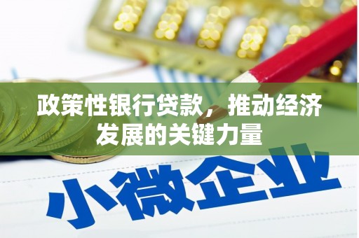 苑里政策性银行贷款，推动经济发展的关键力量