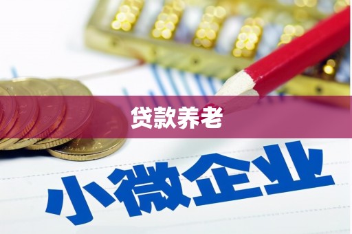水林贷款养老