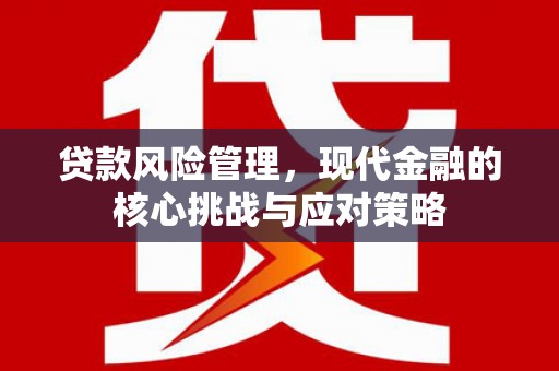 裕民贷款风险管理，现代金融的核心挑战与应对策略