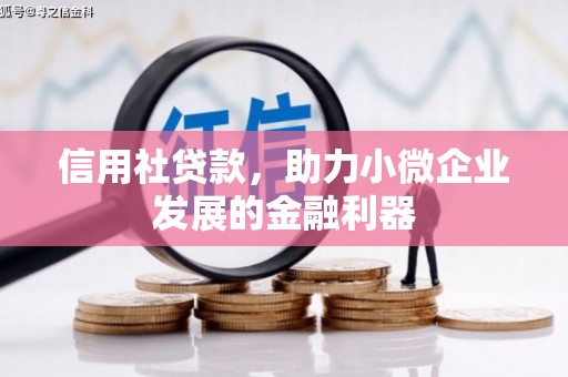大朗信用社贷款，助力小微企业发展的金融利器