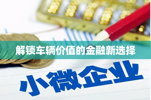 乐都解锁车辆价值的金融新选择