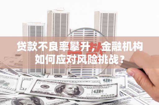 鲅鱼圈贷款不良率攀升，金融机构如何应对风险挑战？