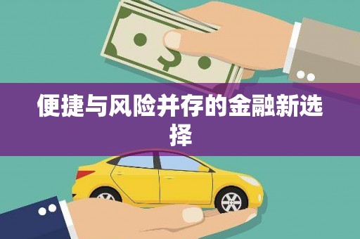 葫芦岛便捷与风险并存的金融新选择