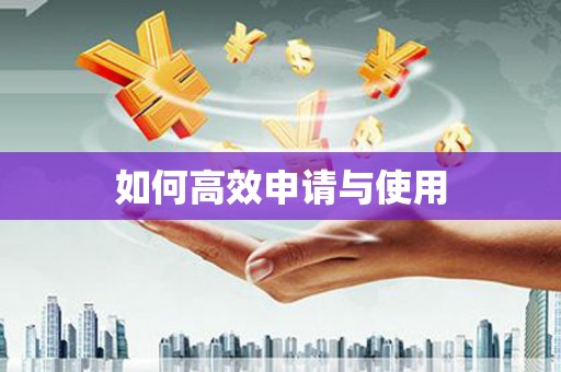 雷州如何高效申请与使用