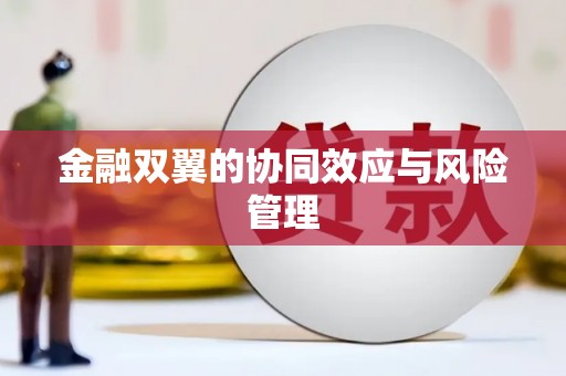盐边金融双翼的协同效应与风险管理