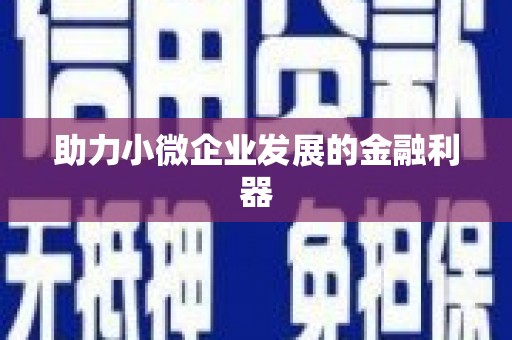 皇姑助力小微企业发展的金融利器