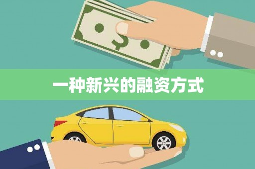 岳麓一种新兴的融资方式