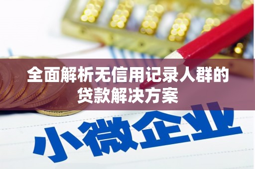 赣县全面解析无信用记录人群的贷款解决方案